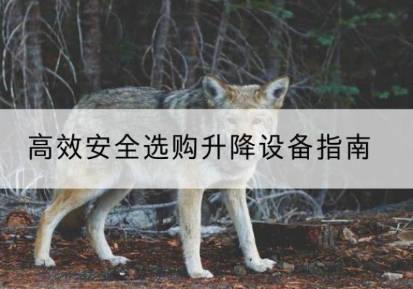 达尔罕茂明安联合旗升降货梯厂家推荐-*安全选购升降设备指南