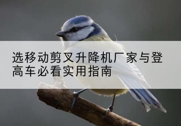 达尔罕茂明安联合旗电动升降机厂家-选移动剪叉升降机厂家与登高车必看实用指南